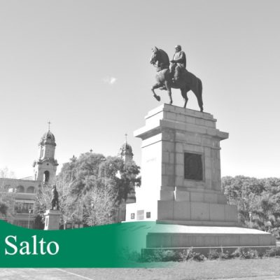 salto-bn600
